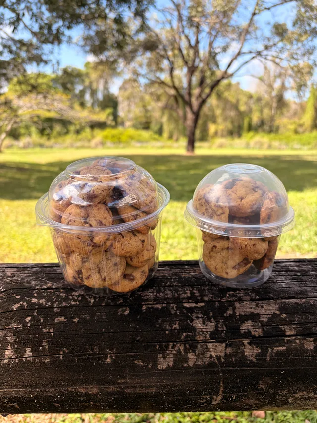 Regular and large Brownie Points cups filled with bite-sized chocolate chip cookies outdoors.