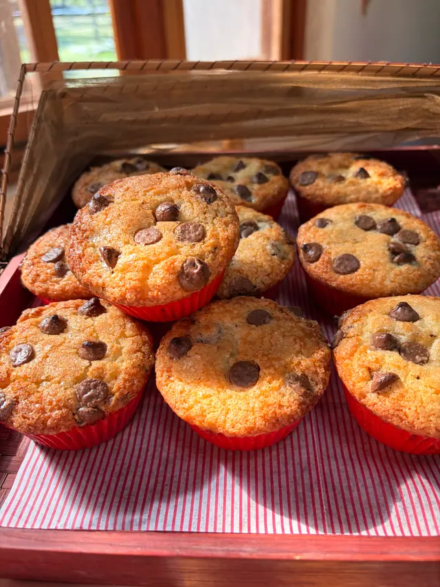 Chocolate chip muffins displayed on a tray.