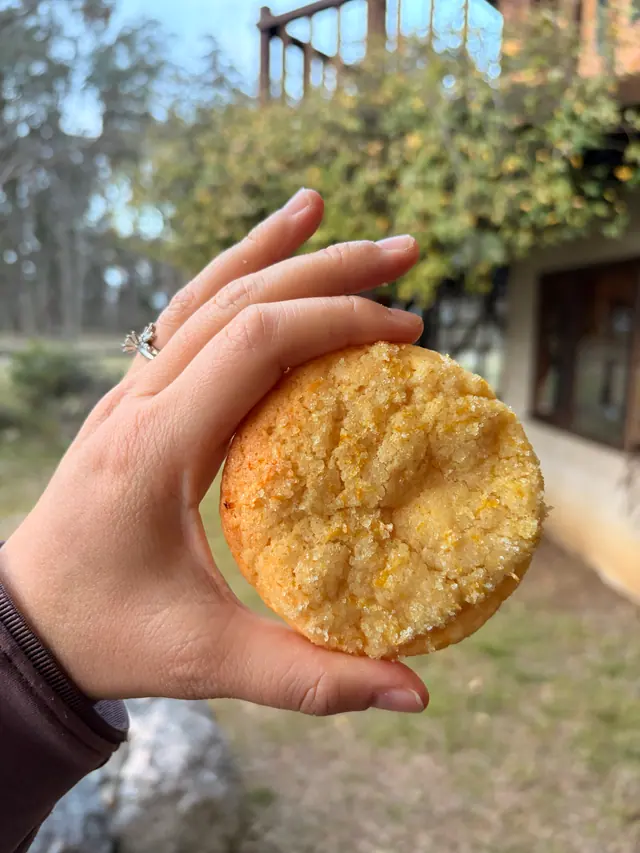 A close-up of Forever Favourites_Zesty Cookie held outdoors.