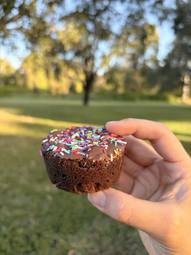 A round glazed Fudgy Brownie with colourful sprinkles held outdoors in side view.