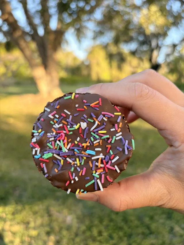 A round glazed Fudgy Brownie topped with colourful sprinkles held outdoors.