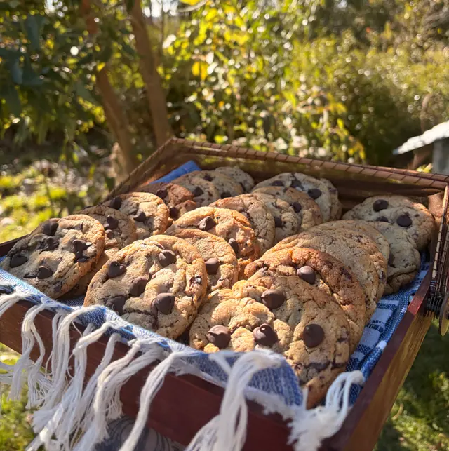 Signature chocolate chip cookies on an outdoor tray.